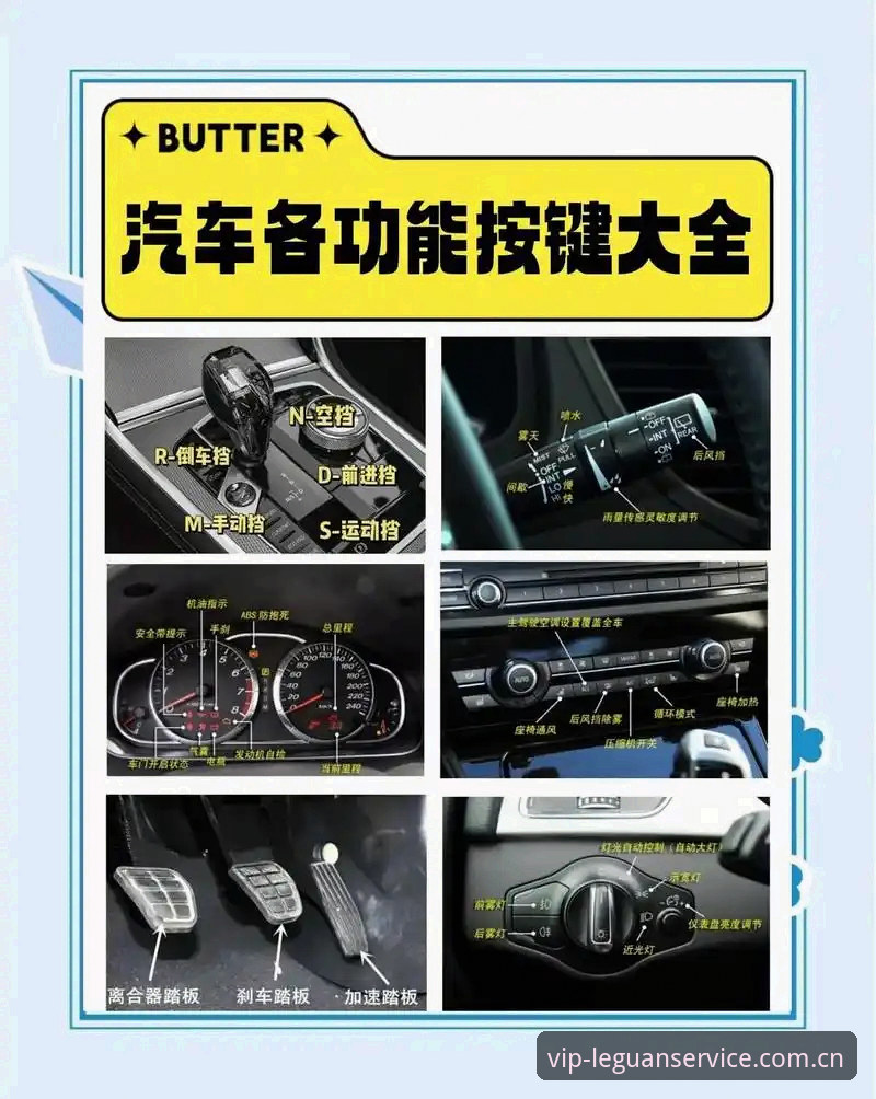 乐冠国际使用教程对比 乐冠国际使用教程对比详解——新旧版本功能与操作全解析